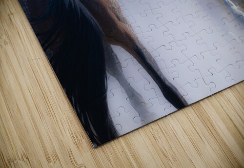 BZ9 9220 Enhanced NR Susan Lynn Cooke puzzle