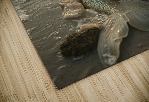 u3797829577 a beautiful mermaid washed up in the Susan Lynn Cooke puzzle