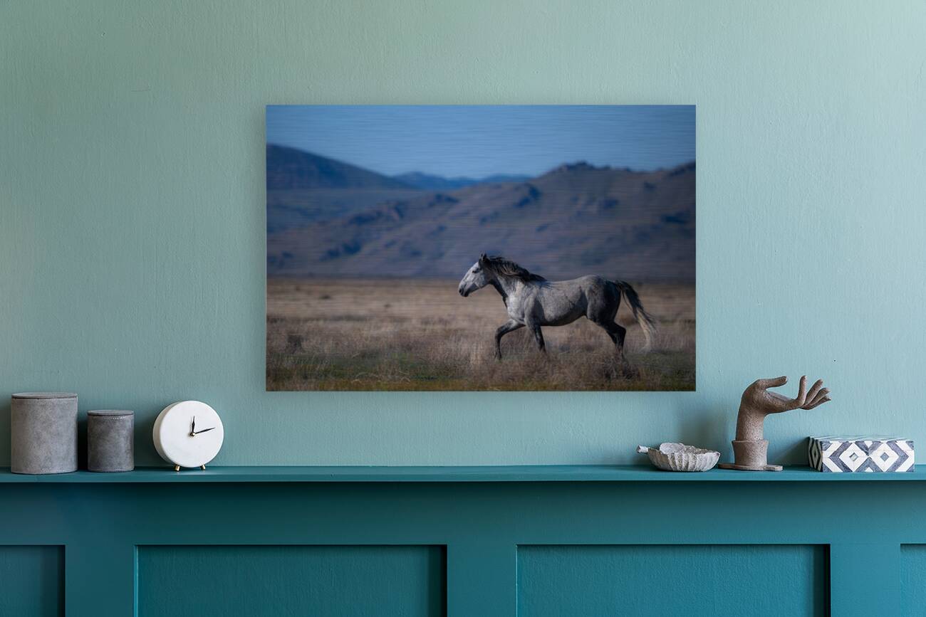 BZ9 4323 Enhanced NR Reproduction