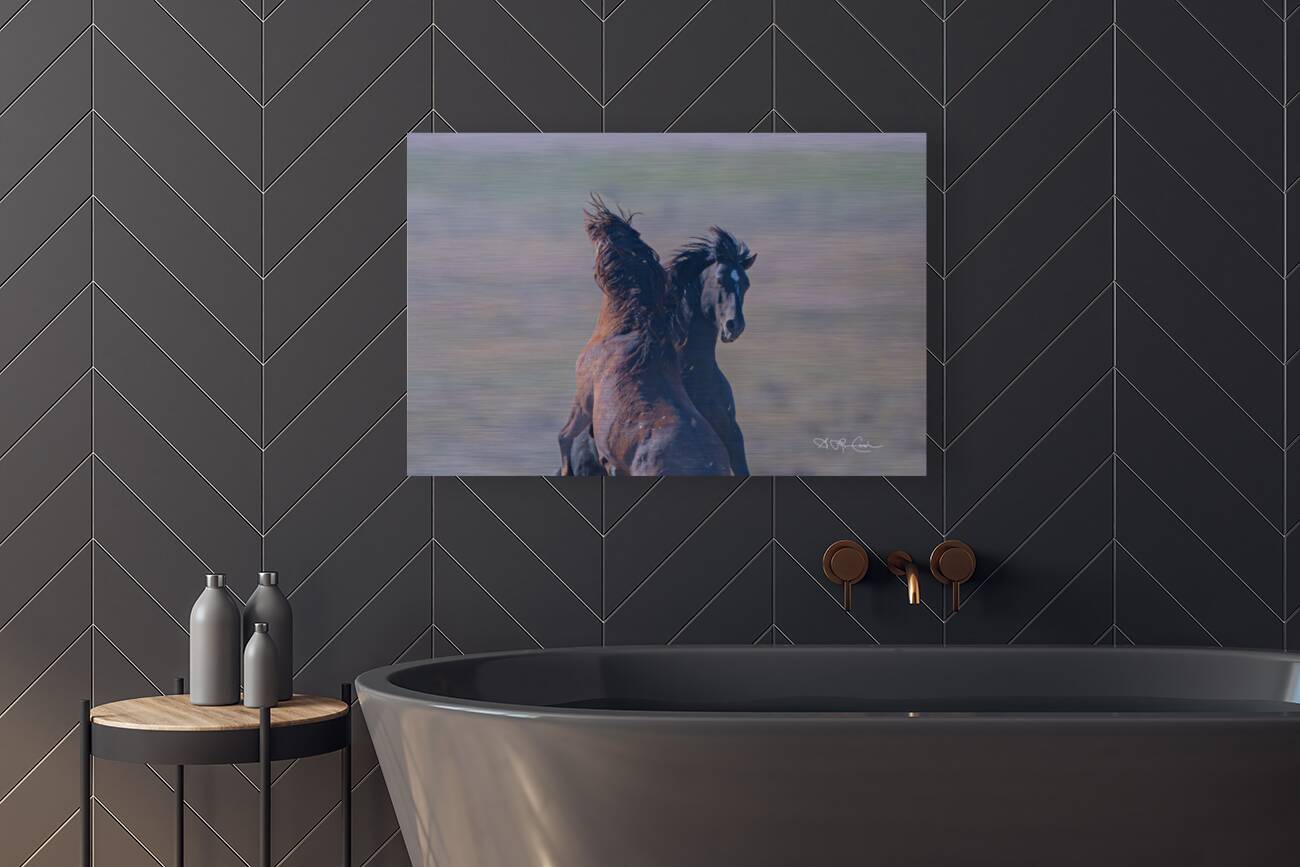 BZ9 9623 Enhanced NR 2 Reproduction