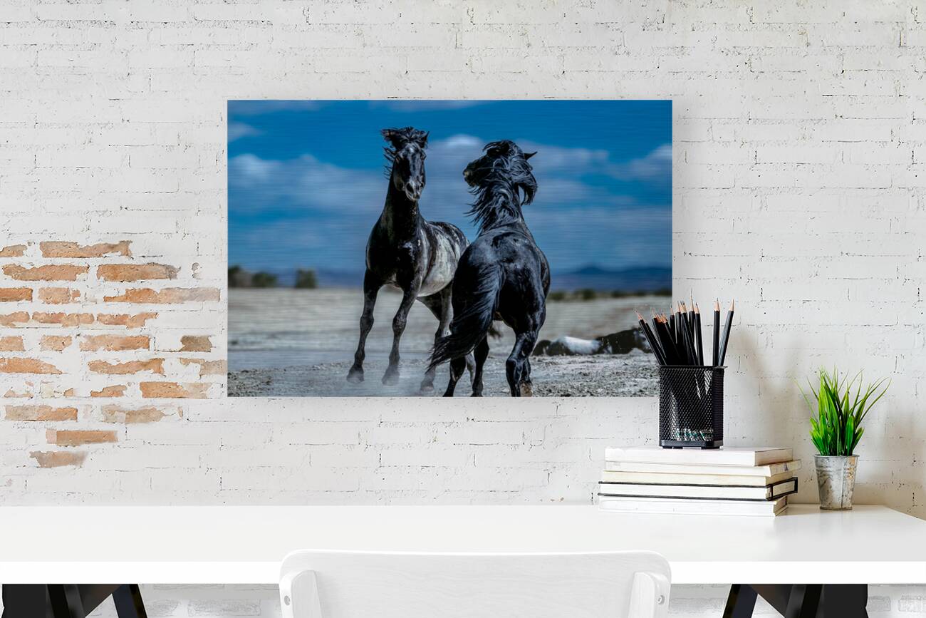 BZ9 4565 Enhanced NR Reproduction