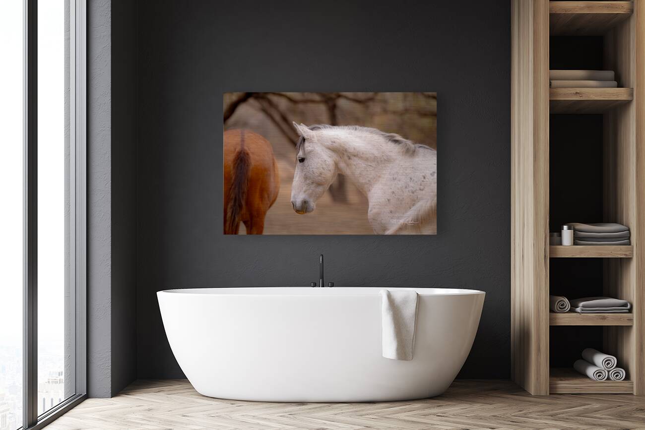 BZ9 4811 Enhanced NR Reproduction