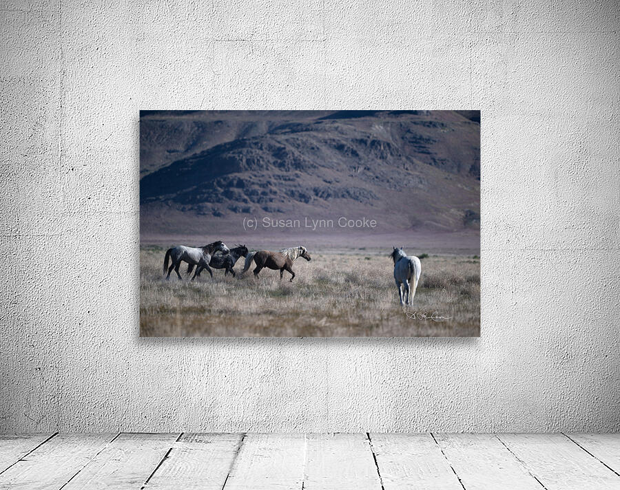 BZ9 5406 Enhanced NR Wall Preview