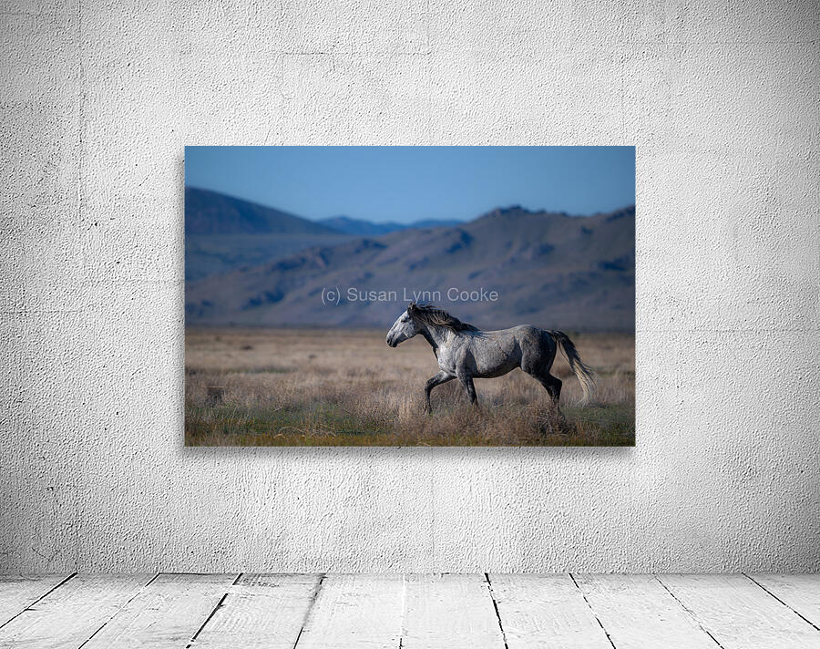 BZ9 4323 Enhanced NR Wall Preview