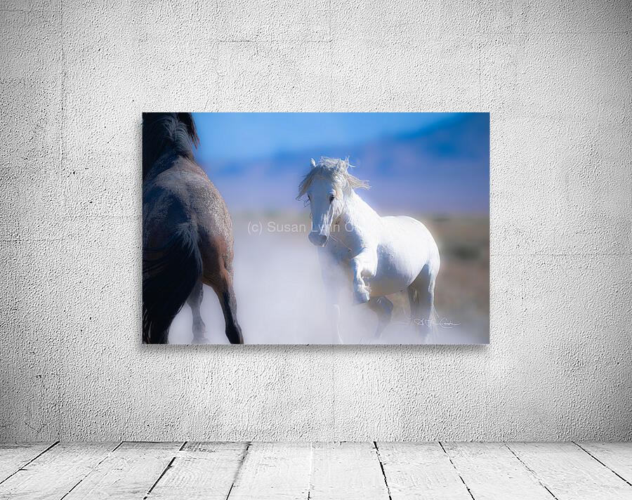 BZ9 9220 Enhanced NR Wall Preview