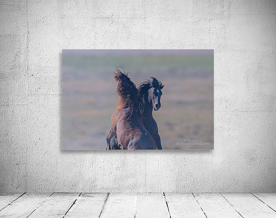 BZ9 9623 Enhanced NR 2 Wall Preview