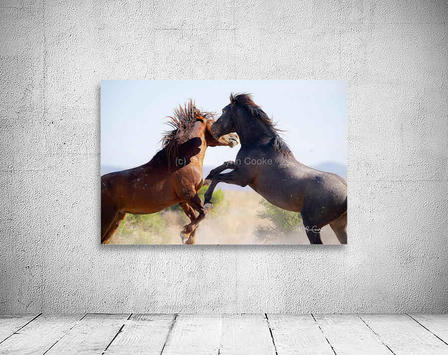 BZ9 0026 Enhanced NR 2 Wall Preview