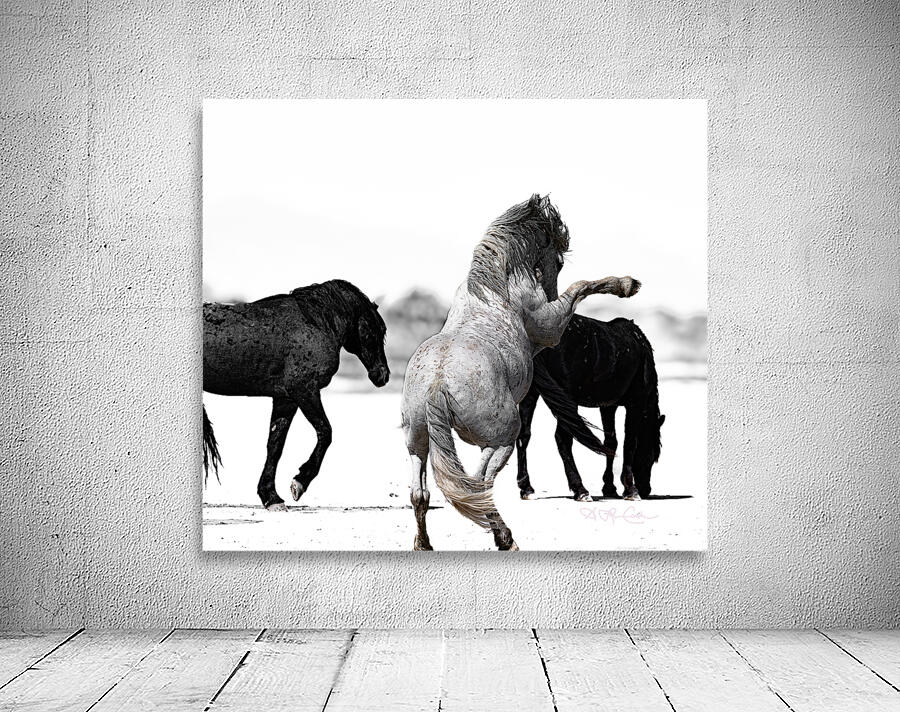 BZ9 4246 Enhanced NR Wall Preview