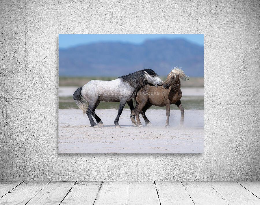 BZ9 3426 Enhanced NR Wall Preview