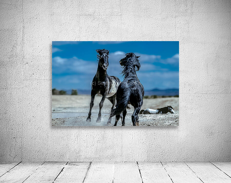 BZ9 4565 Enhanced NR Wall Preview