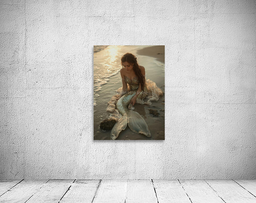 u3797829577 a beautiful mermaid washed up in the Wall Preview