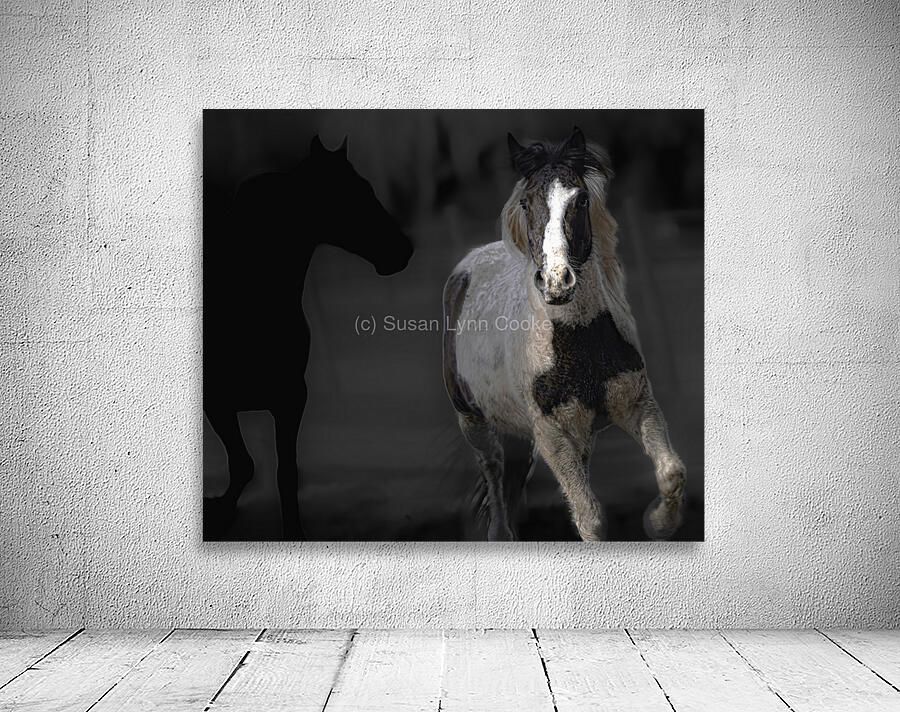 02012023 mustangs 5479 Enhanced NR Wall Preview