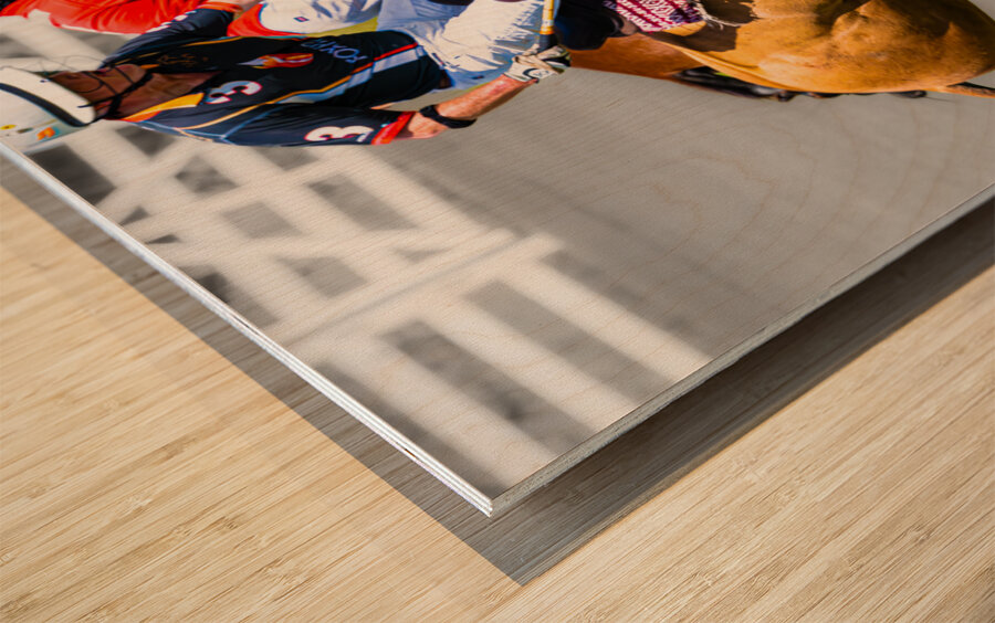 BZ9 2816 Enhanced NR Wood print