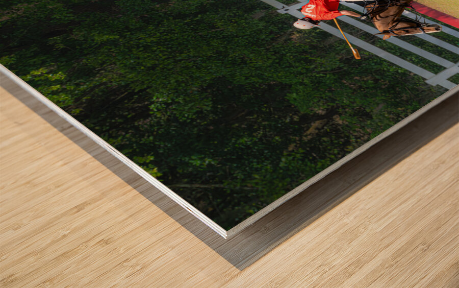 BZ9 2607 Enhanced NR Wood print