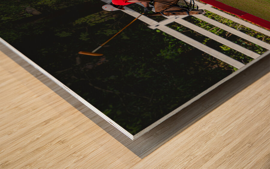 BZ9 2625 Enhanced NR Wood print