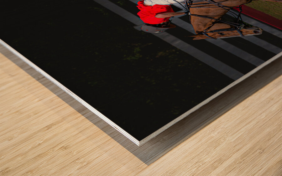 BZ9 2622 Enhanced NR Wood print