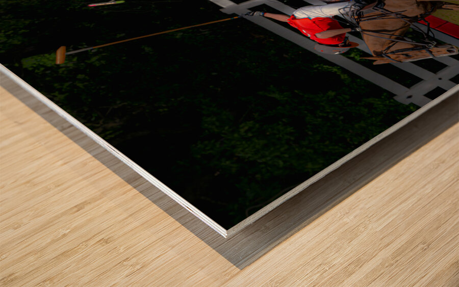 BZ9 2621 Enhanced NR Wood print