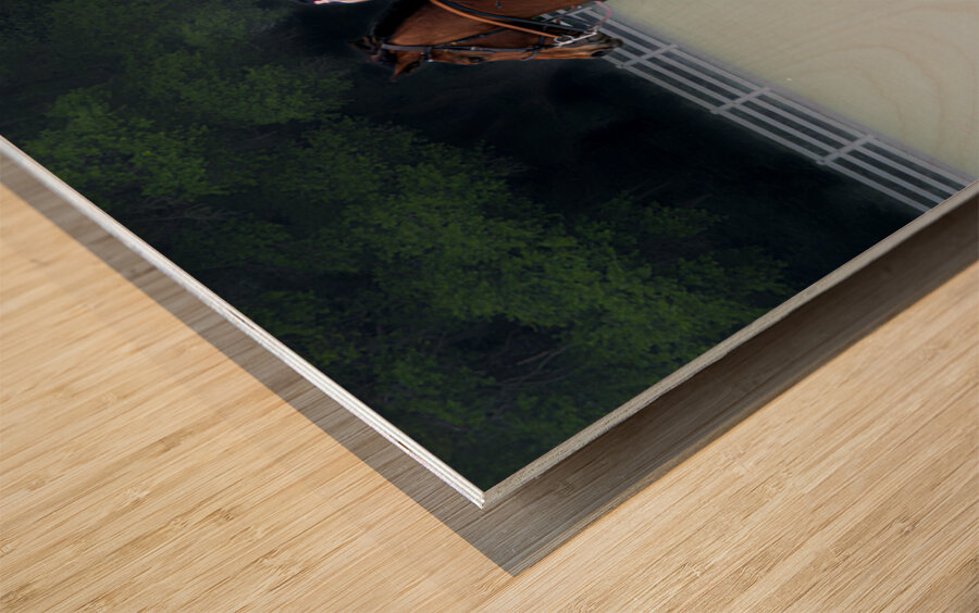 BZ9 4651 Enhanced NR Wood print