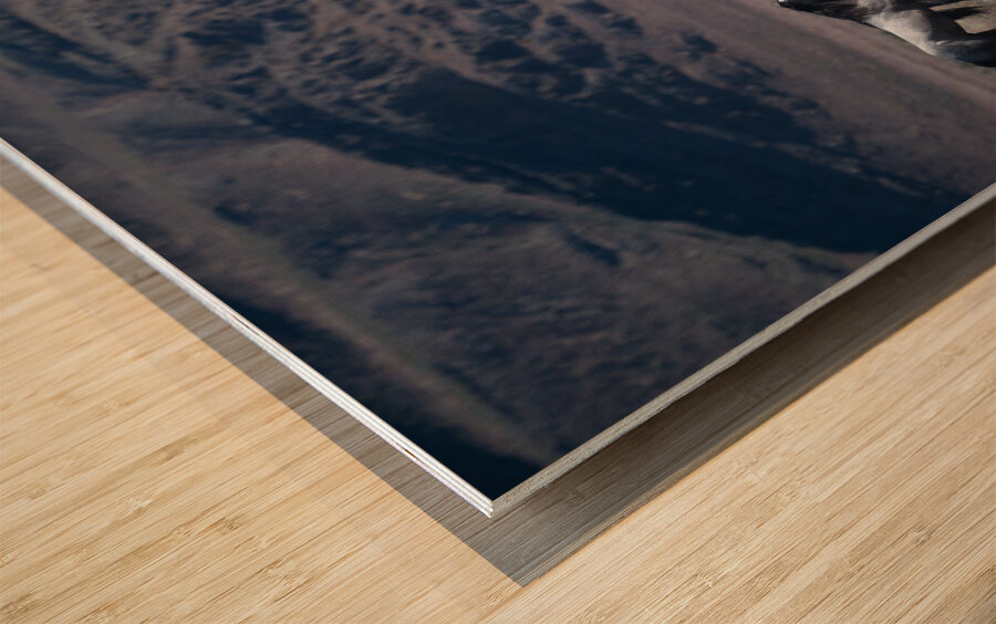 BZ9 5406 Enhanced NR Wood print