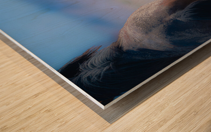 BZ9 9220 Enhanced NR Wood print