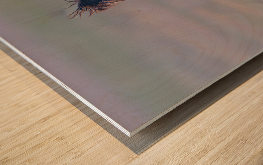 BZ9 9623 Enhanced NR 2 Wood print