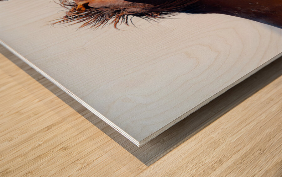 BZ9 0026 Enhanced NR 2 Wood print