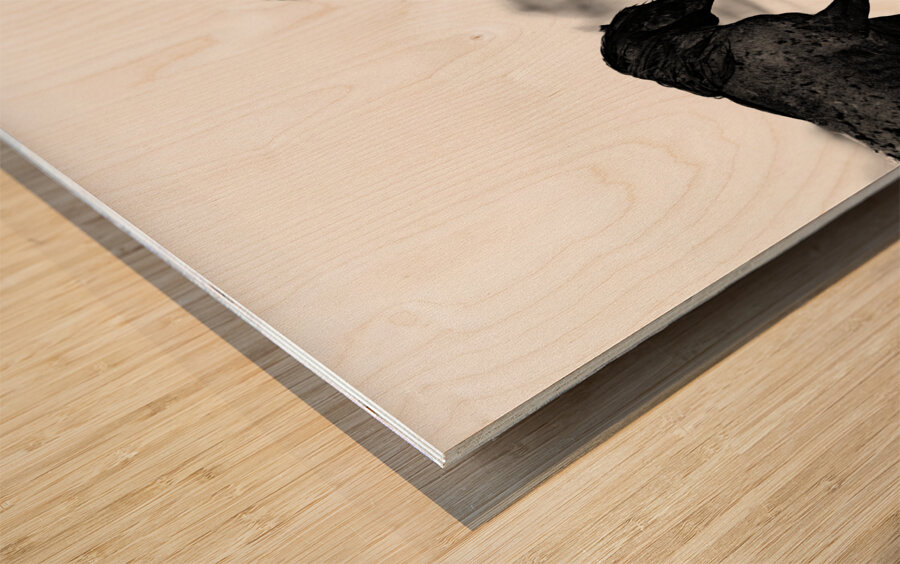 BZ9 4246 Enhanced NR Wood print