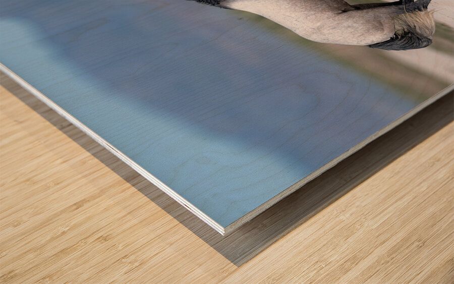 BZ9 3426 Enhanced NR Wood print