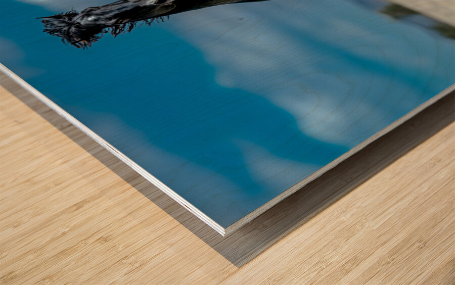 BZ9 4565 Enhanced NR Wood print