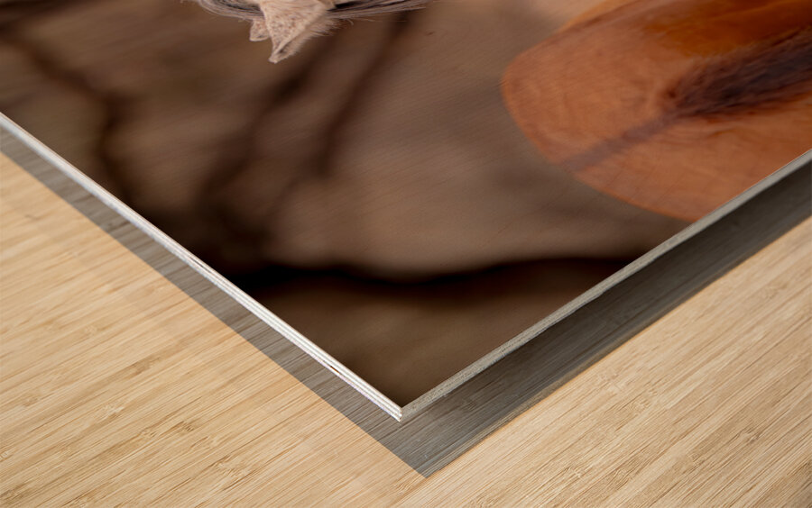 BZ9 4811 Enhanced NR Wood print