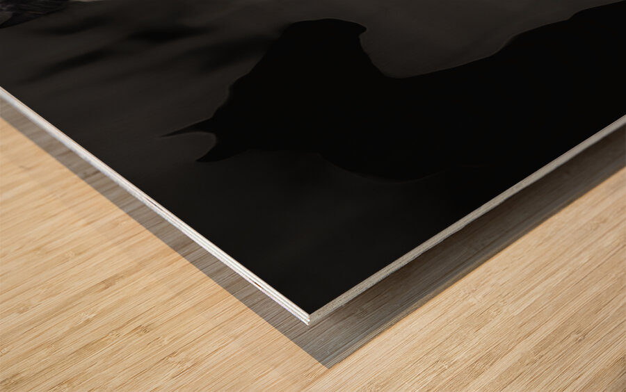 02012023 mustangs 5479 Enhanced NR Wood print