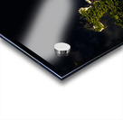 Les belles eaux noires Acrylic print