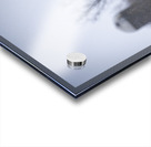 Cole la Legende Acrylic print