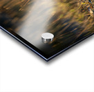 Un matin apres la chasse Acrylic print