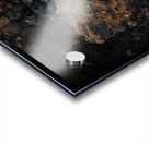 La grosse prise Acrylic print