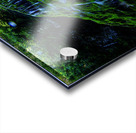 Les tropiques en Gaspesie Acrylic print