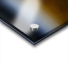 Pretty Plover III Acrylic print