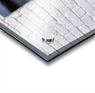 Mighty Mink IV Acrylic print