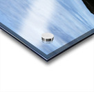 Southern Tundra Bull III Acrylic print