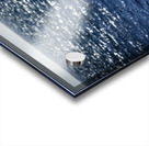 Southern Tundra Bull II Acrylic print