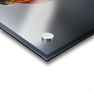 Sea Parrot III Acrylic print