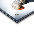 Chilling Puffin III Acrylic print