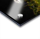 Almost Camo Acrylic print