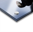 Chillin Puffin Acrylic print