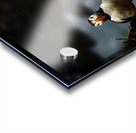 Rough Wind Rough Feather Acrylic print