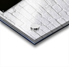 Salty Siskin Acrylic print