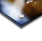 Beak Full Acrylic print