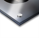 Sea Parrot Acrylic print