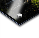 Great Prince of the Forest II Acrylic print