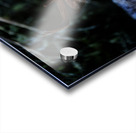 Great Prince of the Forest I Acrylic print